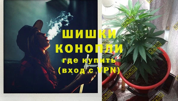 Альфа ПВП Ельня
