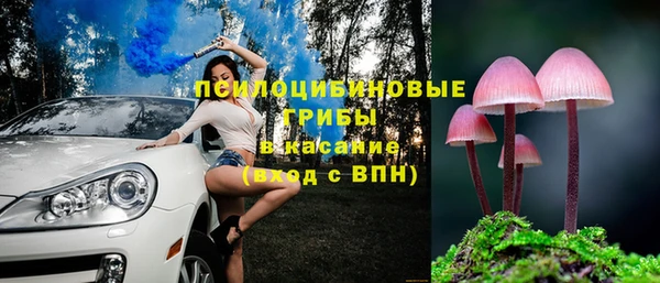 стафф Елабуга