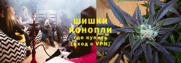 Альфа ПВП Ельня