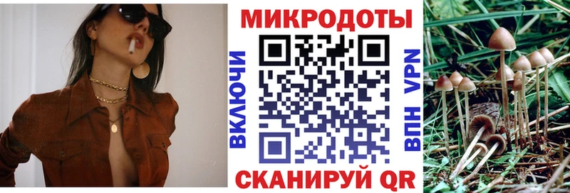 это как зайти  ОМГ ОМГ сайт  Избербаш  Галлюциногенные грибы MAGIC MUSHROOMS 