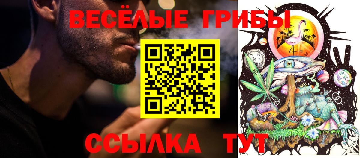 Псилоцибиновые грибы Magic Shrooms Избербаш