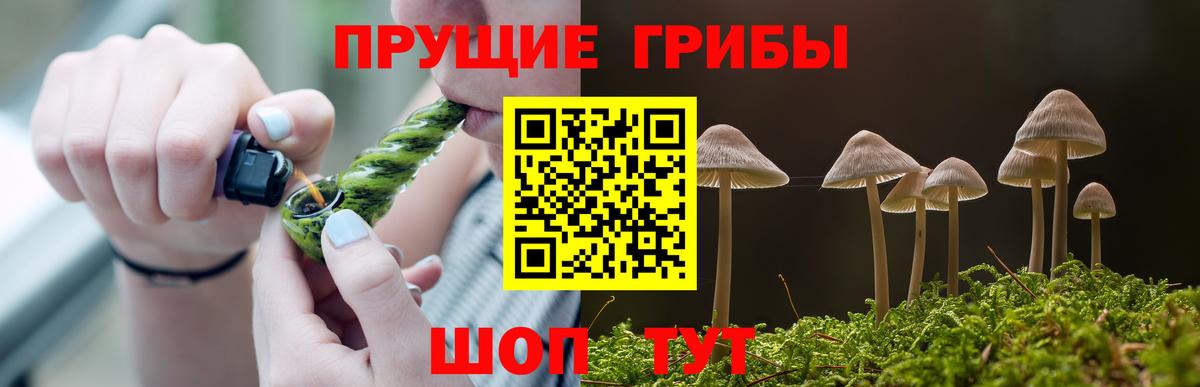 Псилоцибиновые грибы Magic Shrooms  Вход с VPN  Избербаш  Галлюциногенные грибы Psilocybe 